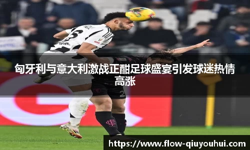 匈牙利与意大利激战正酣足球盛宴引发球迷热情高涨